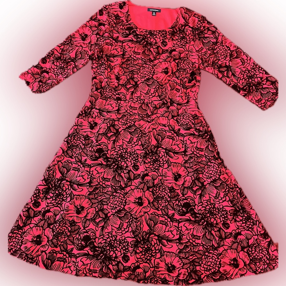 Lands' End Red and Black Velvet Floral Dress